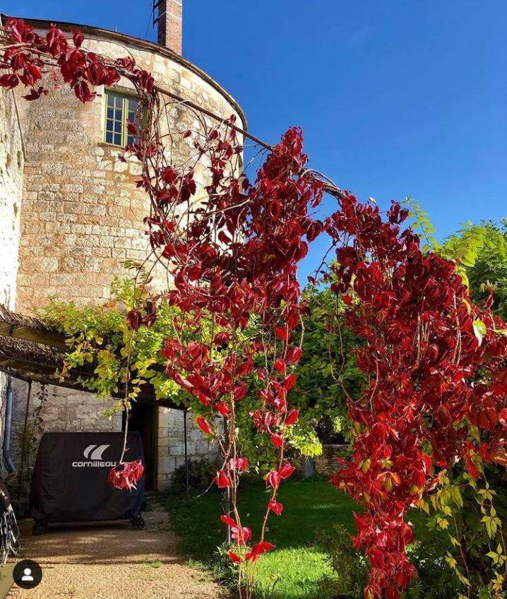 Coté-Serein La Privilège de la Tour Madame Noyers-sur-Serein Exterior foto